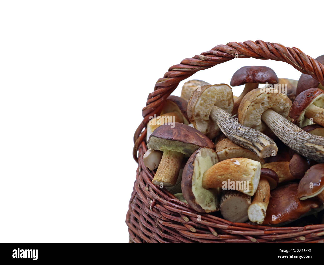 Fresh wild mushrooms in basket isolated on white background with copy space Stock Photo