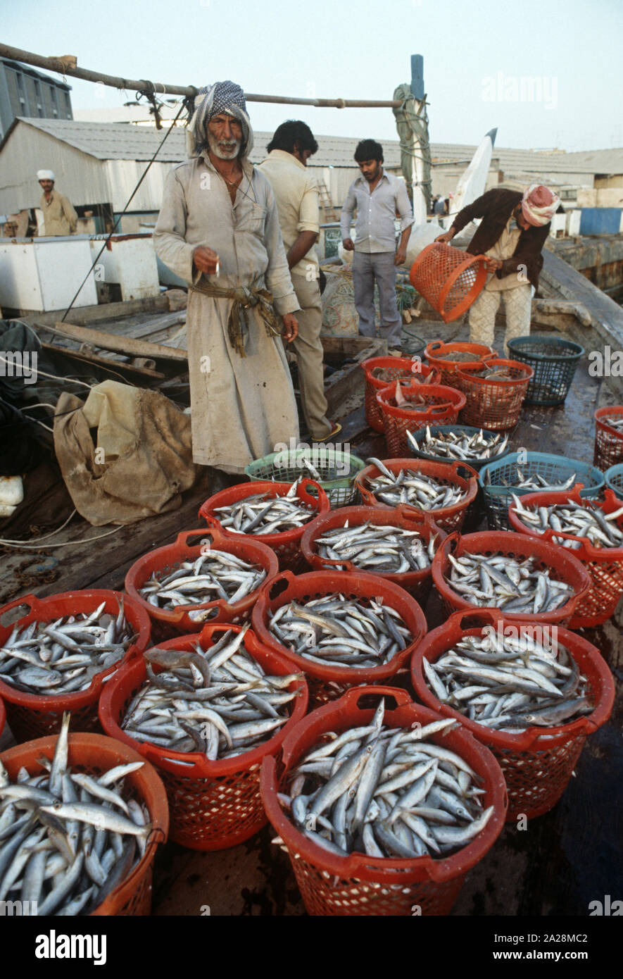 Dubai fish market, Dubai, United Arab Emirates, UAE Stock Photo Alamy