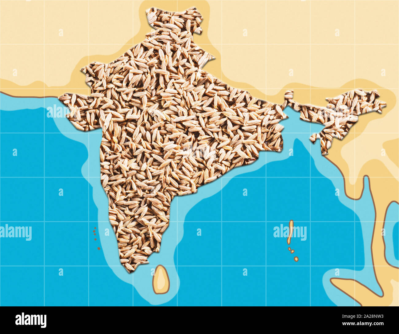 Cumin seeds (Cuminum), Jeera grows in India. Schematic map Stock Photo Alamy