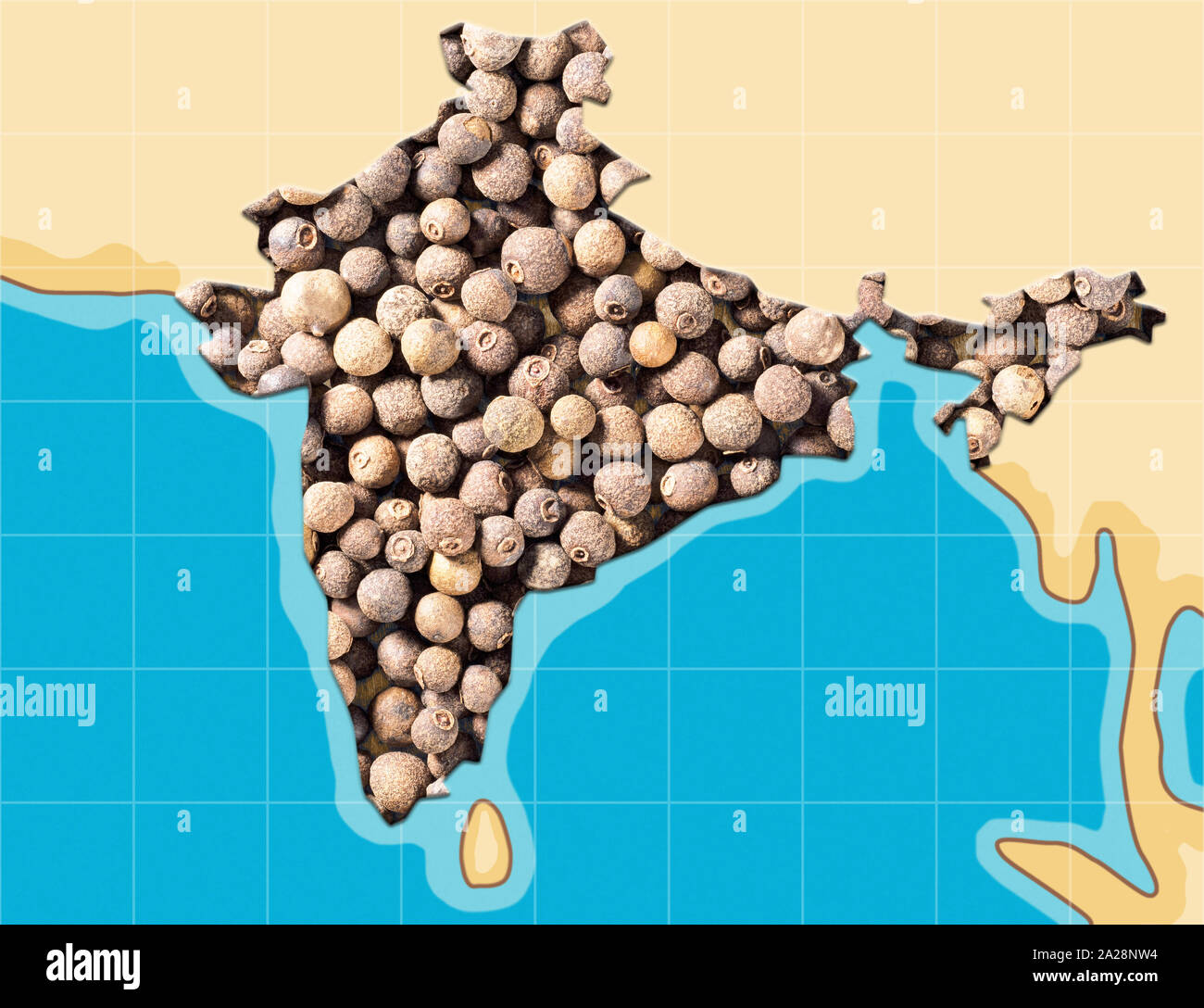 Allspice (Jamaica pepper) grows in India. Schematic map Stock Photo Alamy
