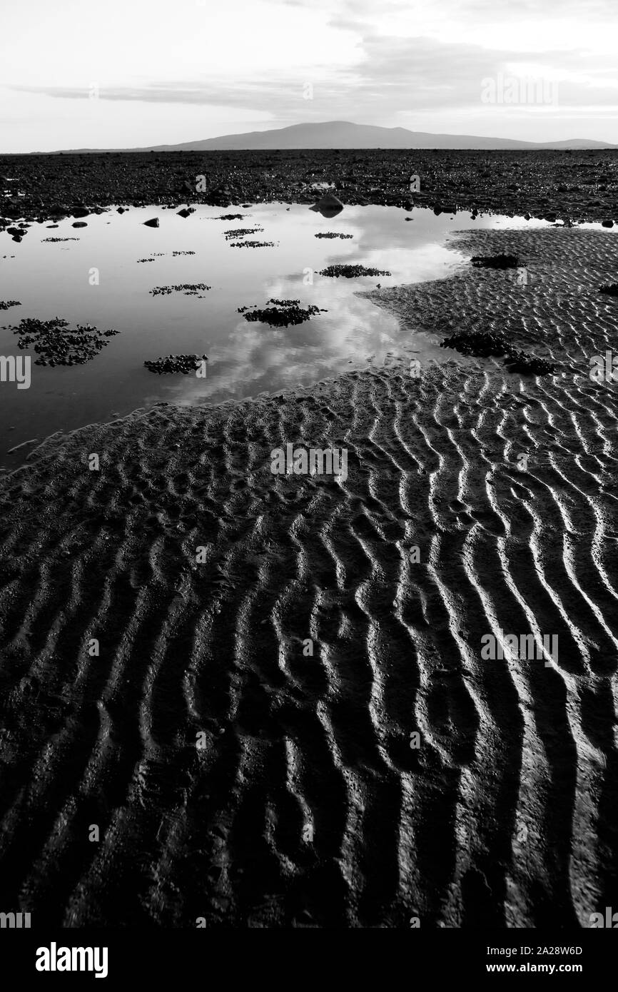 Sandy beach on the Solway Firth, Cummertrees, Annan, Dumfries & Galloway, Scotland, UK Stock Photo