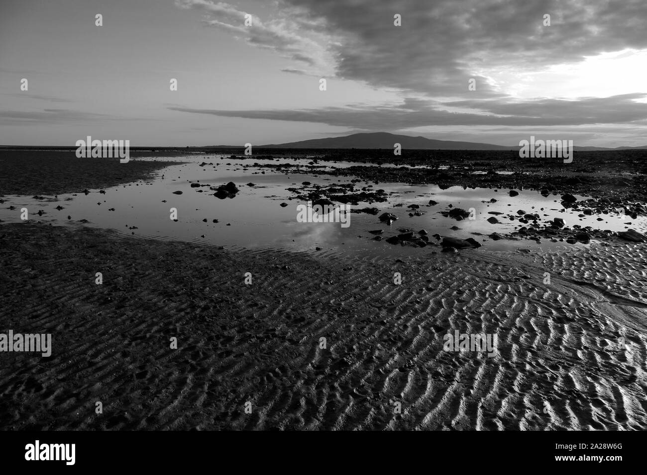 Sandy beach on the Solway Firth, Cummertrees, Annan, Dumfries & Galloway, Scotland, UK Stock Photo