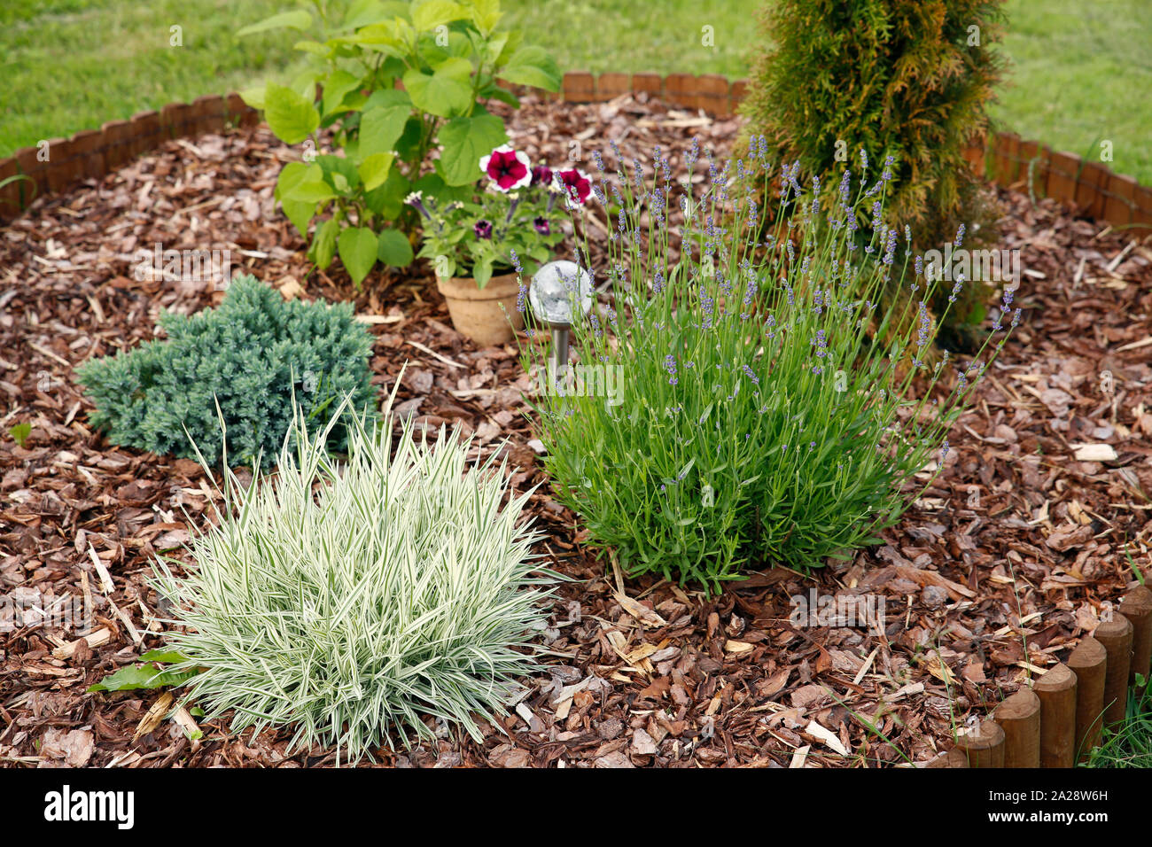 Flower bed with different flowers covered with bark mulch in summer. Solar lamp in the center. Stock Photo