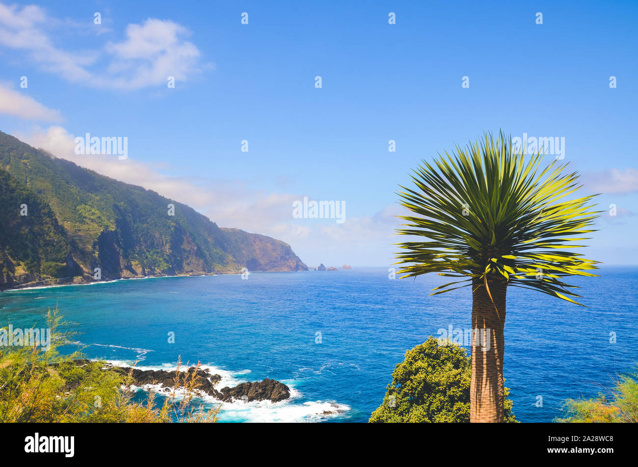 Amazing northern coast of Madeira Island, Portugal photographed with a tropical palm tree. Beautiful steep cliffs covered by green forest. Portuguese island in the Atlantic ocean. Stock Photo