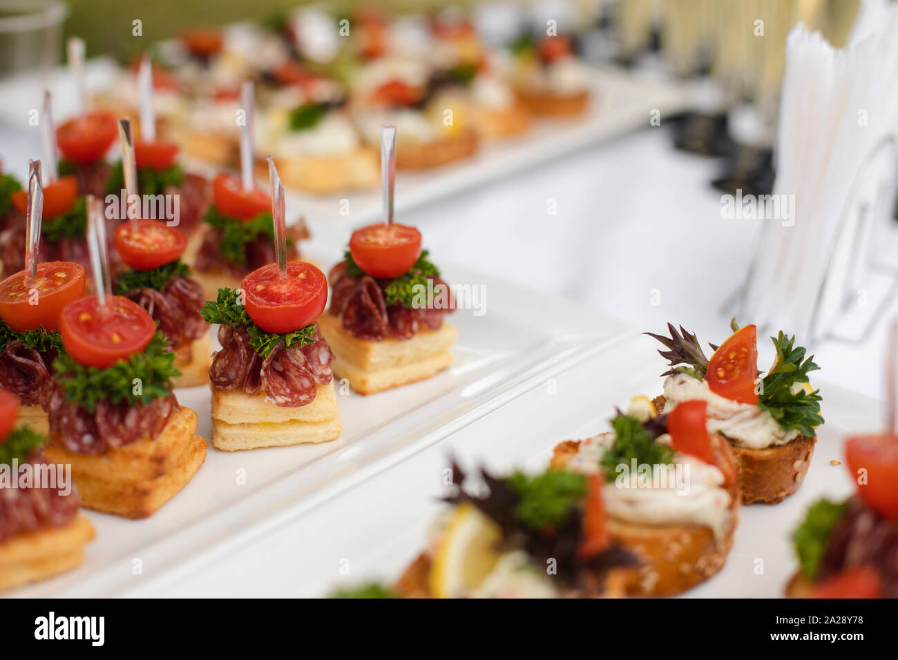 Close-up of wedding reception with tasty sandwiches and canapes made of  sausage, parsley and tomatoes with cream cheese. Canapes on white ceramic  plat Stock Photo - Alamy