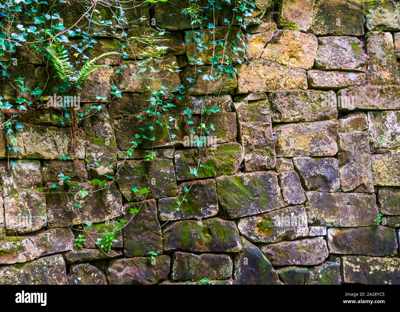 Beautiful Vintage Stone Wall With Plants And Leaves Garden