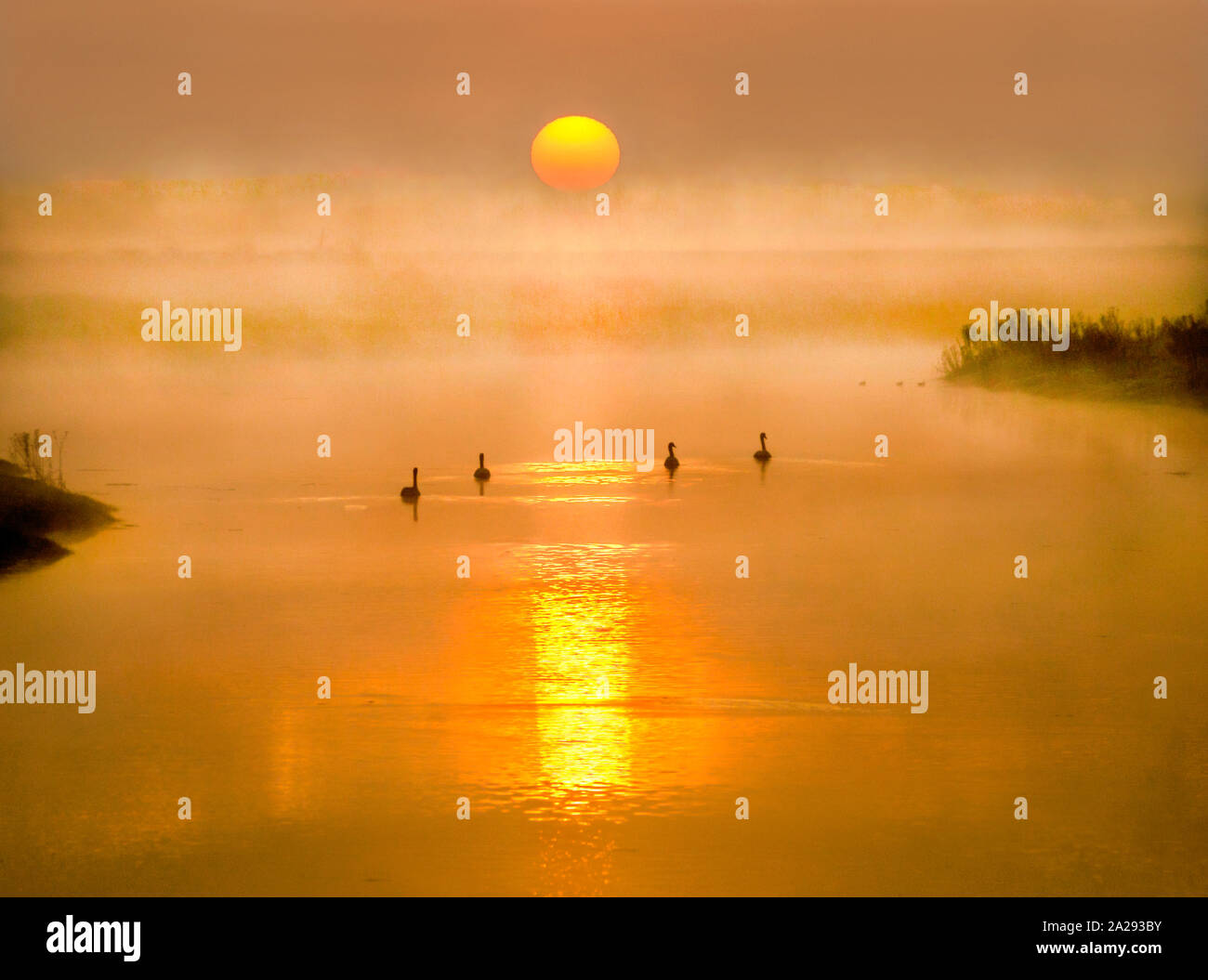 Golden sunrise hi-res stock photography and images - Alamy