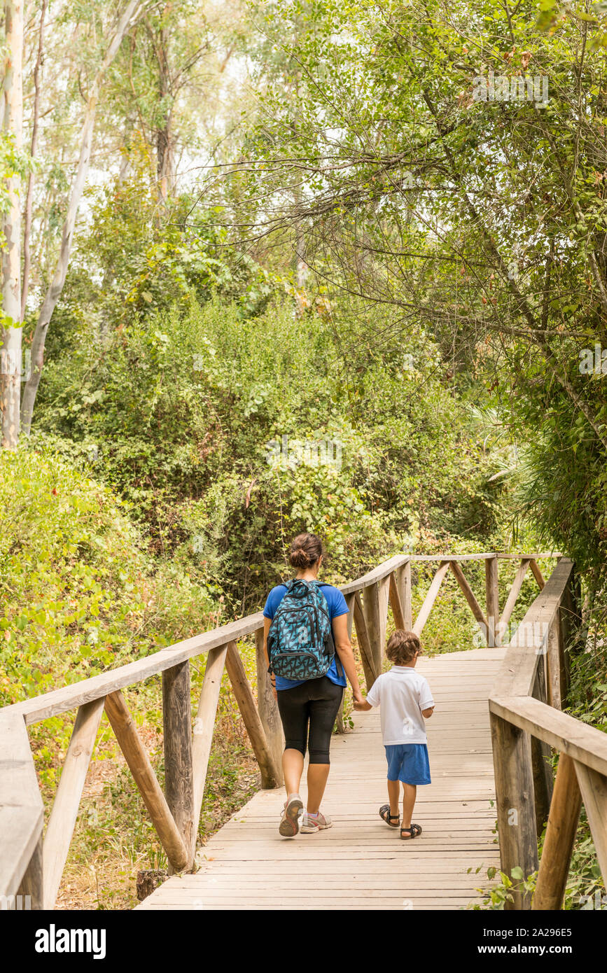 A woman and a child hiking, walking along a wooden walkway that runs through a forest. Concepts of family lifestyle and healthy life. Stock Photo