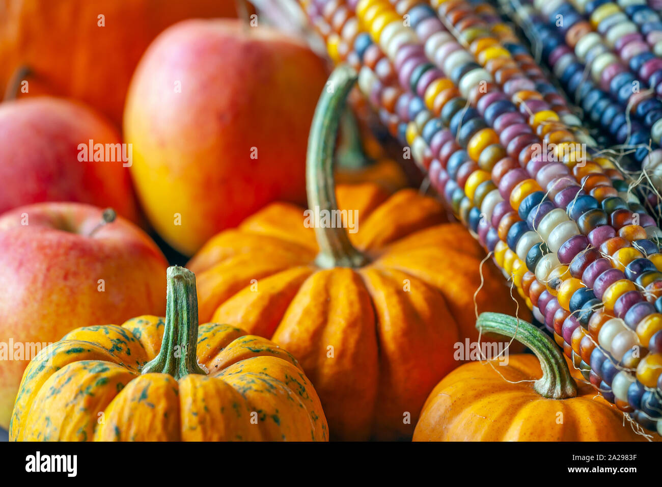 Still life with apples and pumpkins hi-res stock photography and images ...