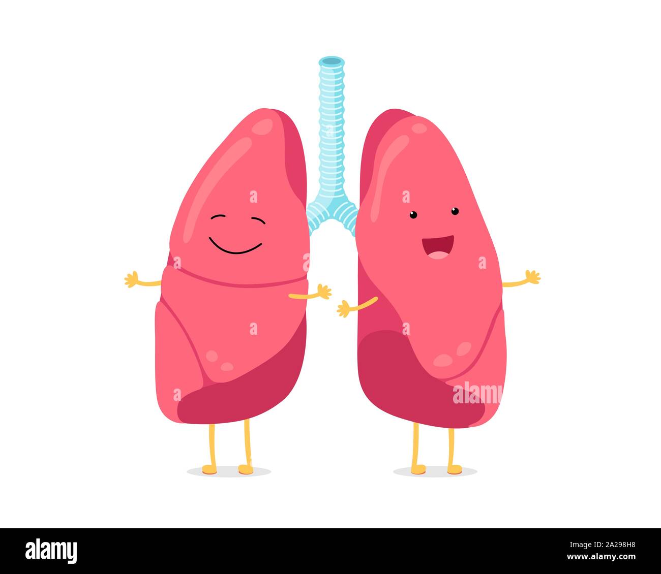 Cute cartoon funny lungs character. Strong smiling lung. Human respiratory system happy internal organ mascot. Medical healthy anatomy flat vector illusrtation Stock Vector