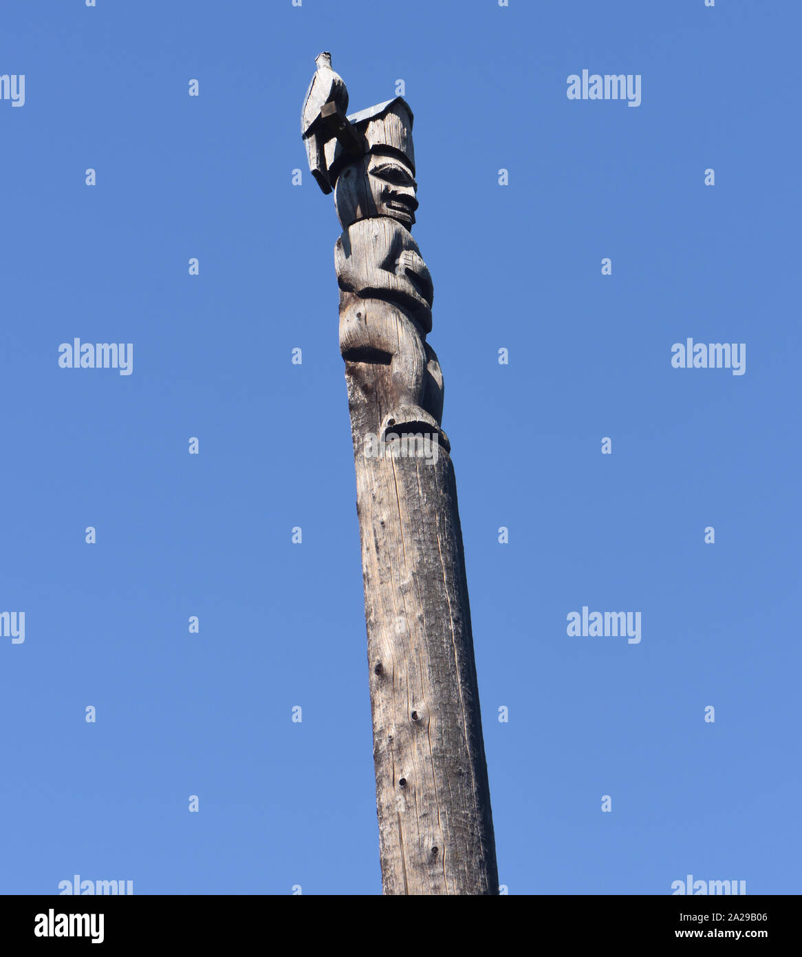 Detail of a totem pole in Thunderbird Park. ,  Victoria, British Columbia, Canada. Stock Photo