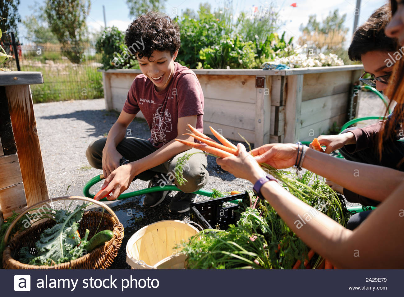 Boy harvesting garden hi-res stock photography and images - Alamy