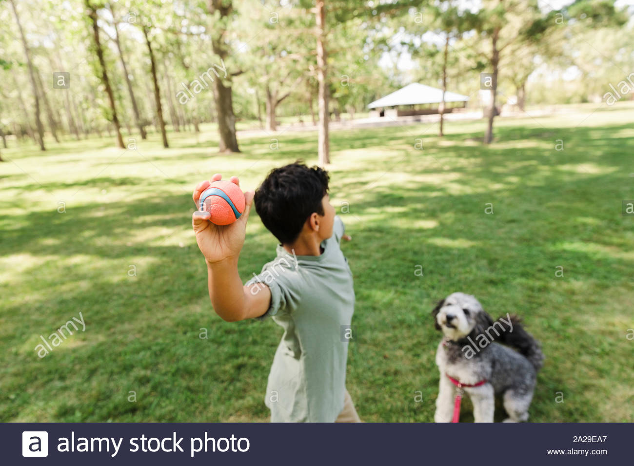 How Long Should You Throw A Ball For A Dog at Alice Creel blog