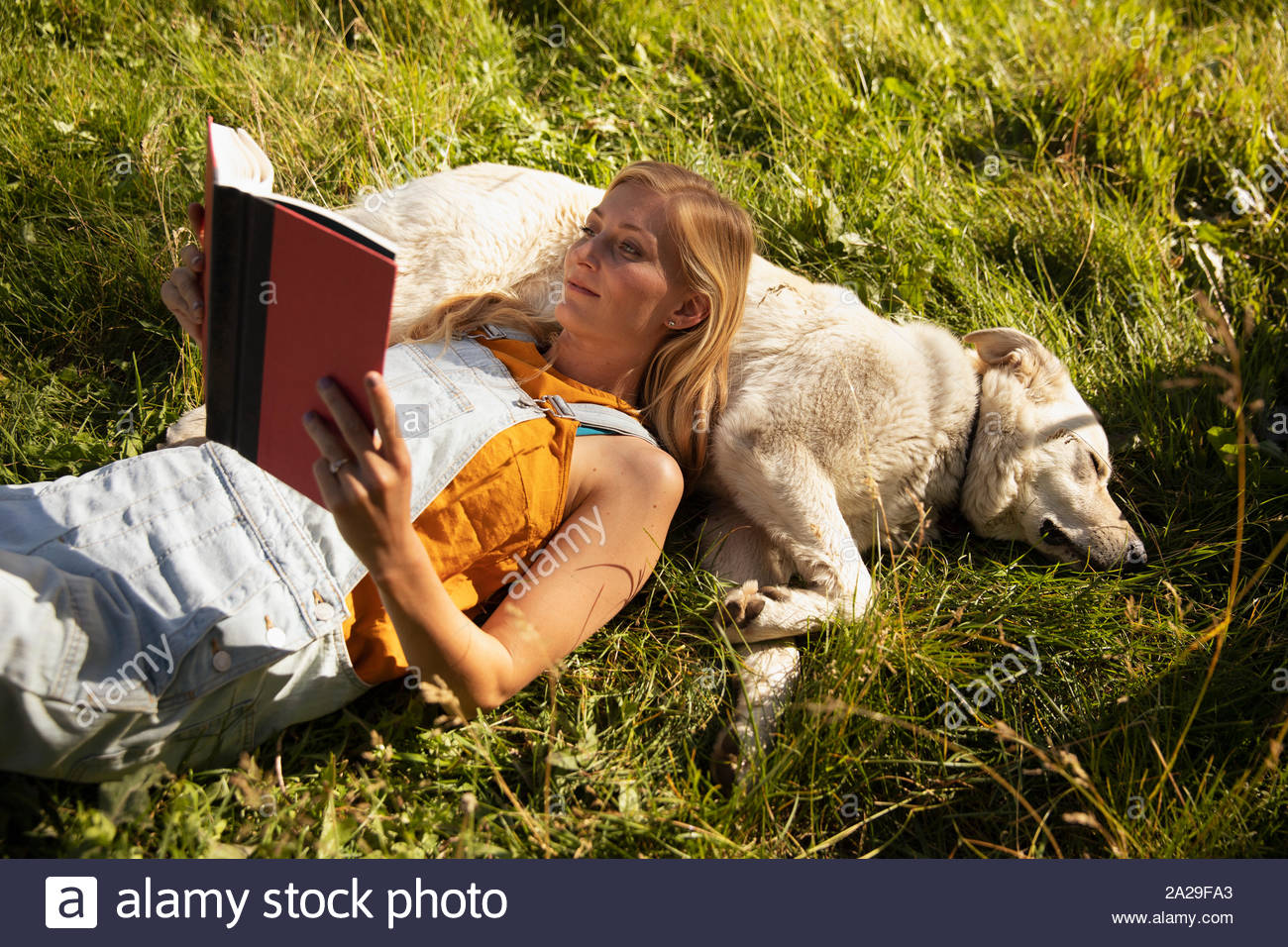 Young woman lying with dog on grass reading book Stock Photo