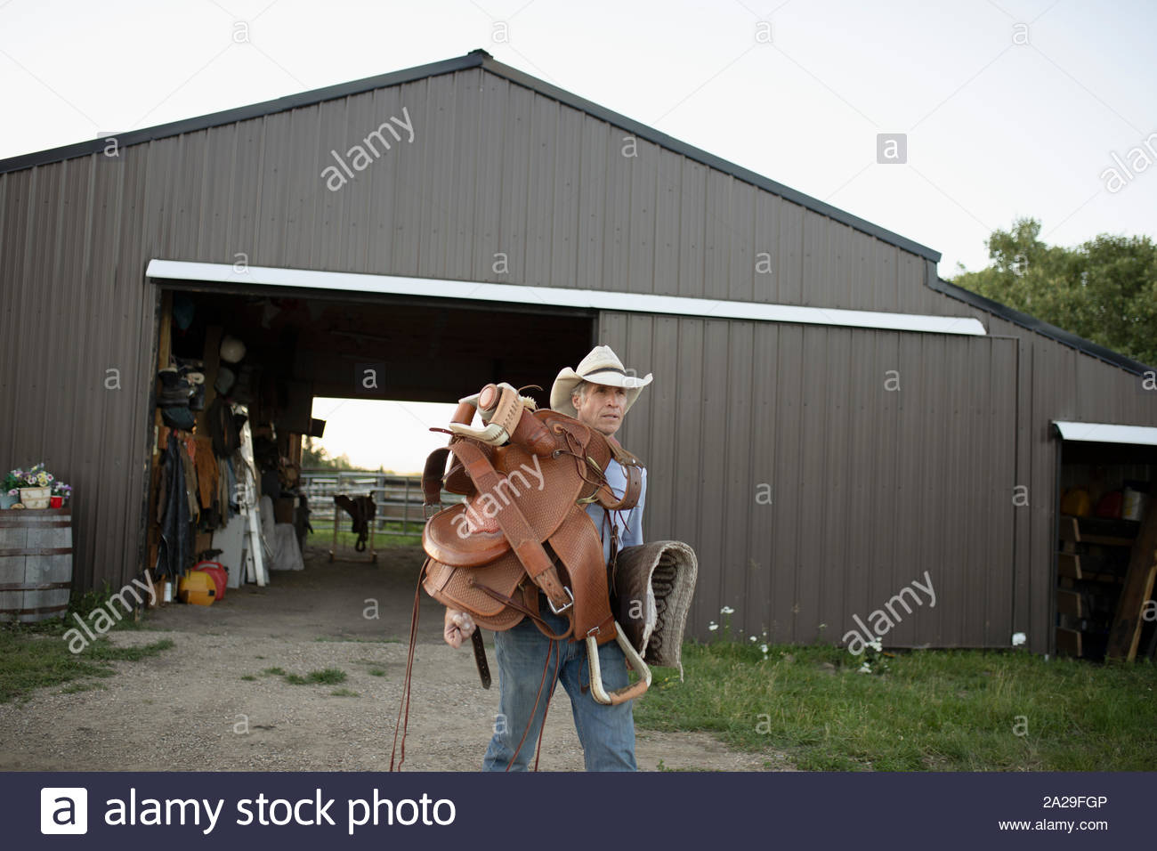 Mature man carrying saddle outside barn Stock Photo