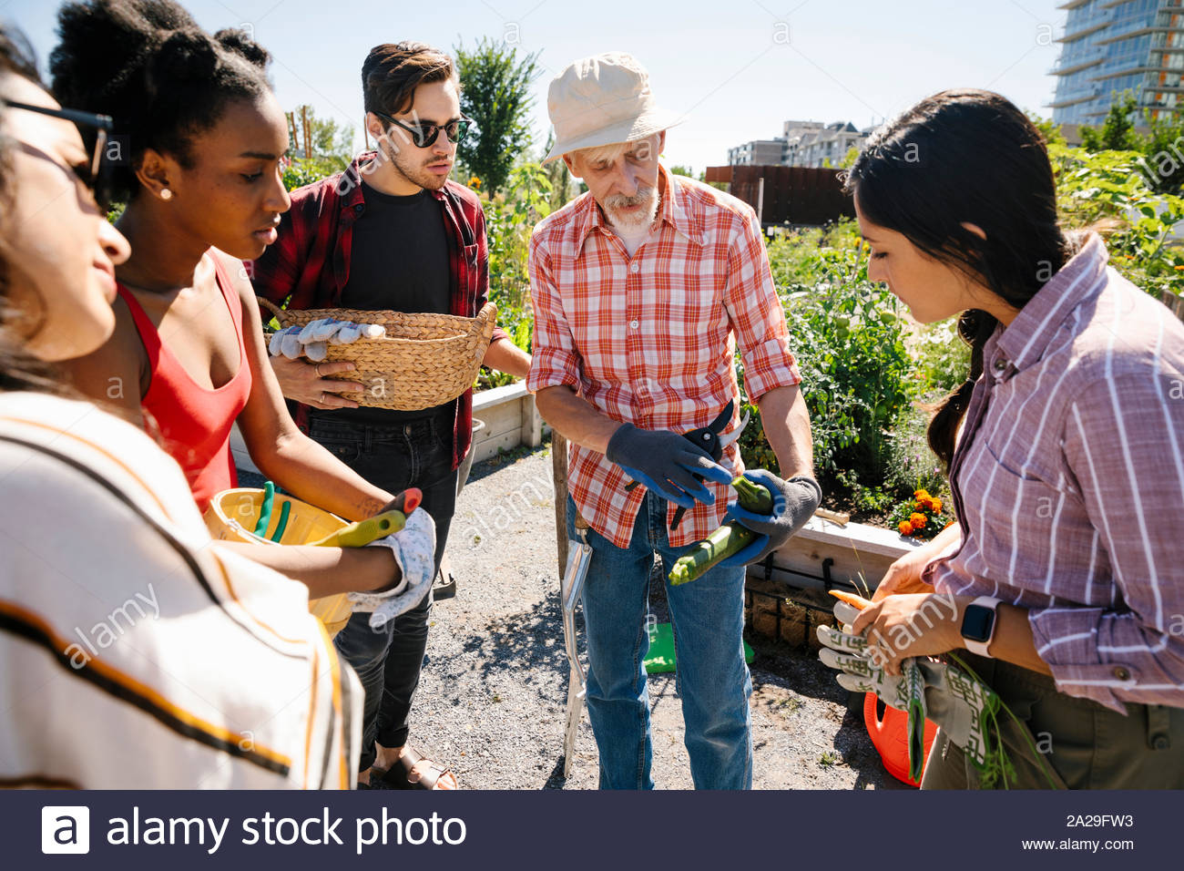 Man teaching gardening to young adults in sunny, urban community garden Stock Photo