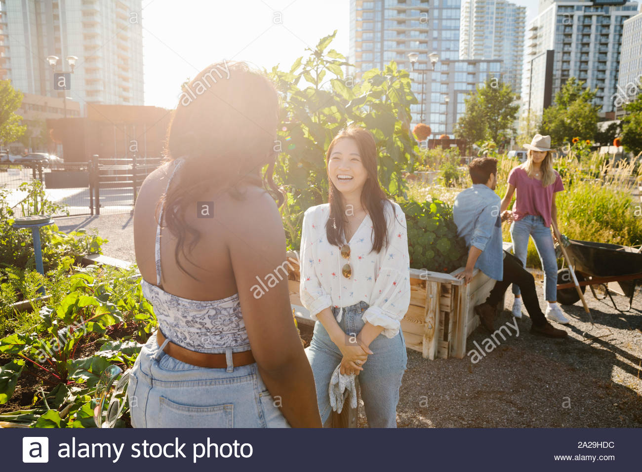 Happy young women friends talking in sunny, urban community garden Stock Photo