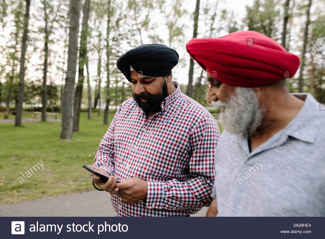 Mature Indian men wearing turbans in park with smartphone Stock Photo