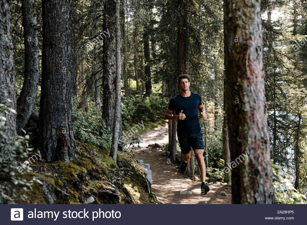 Man running woods hi-res stock photography and images - Alamy