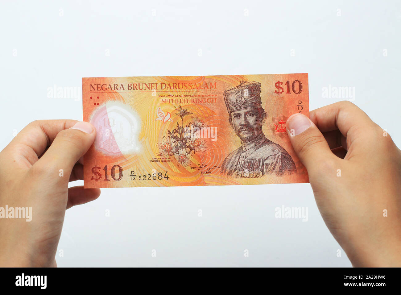Brunei currency against white background Stock Photo