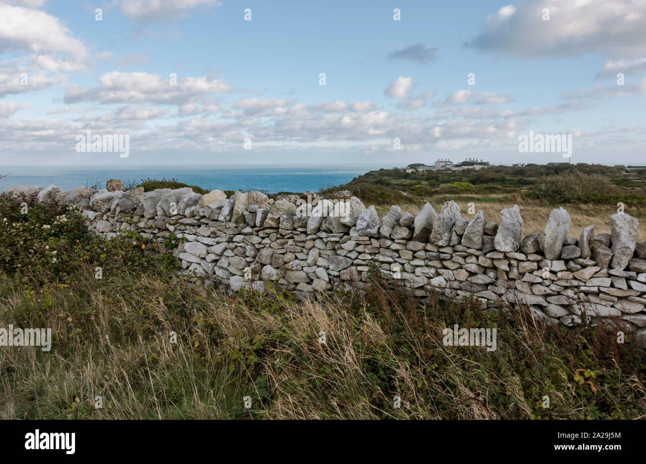 Drystone wall on the isle of Portland, Dorset,, jurassic coast, Uk. Stock Photo