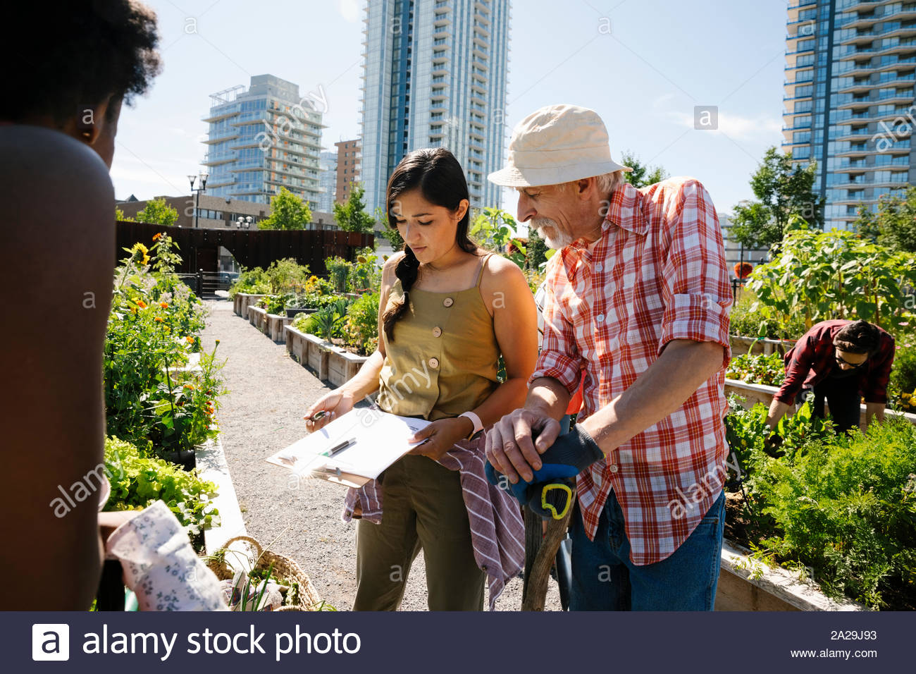 Man and woman planning with clipboard in sunny, urban community garden Stock Photo