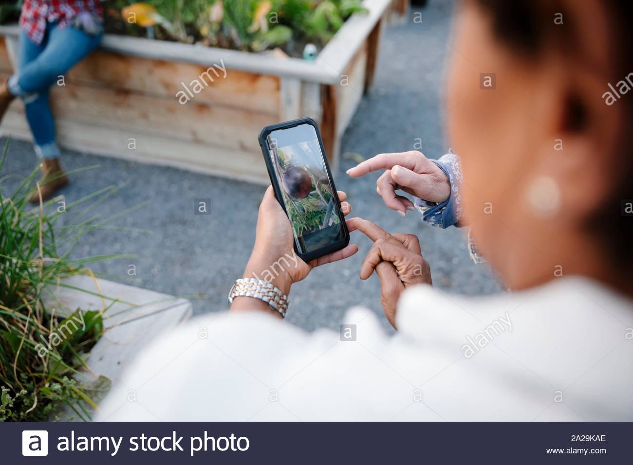 Woman with camera phone in garden Stock Photo