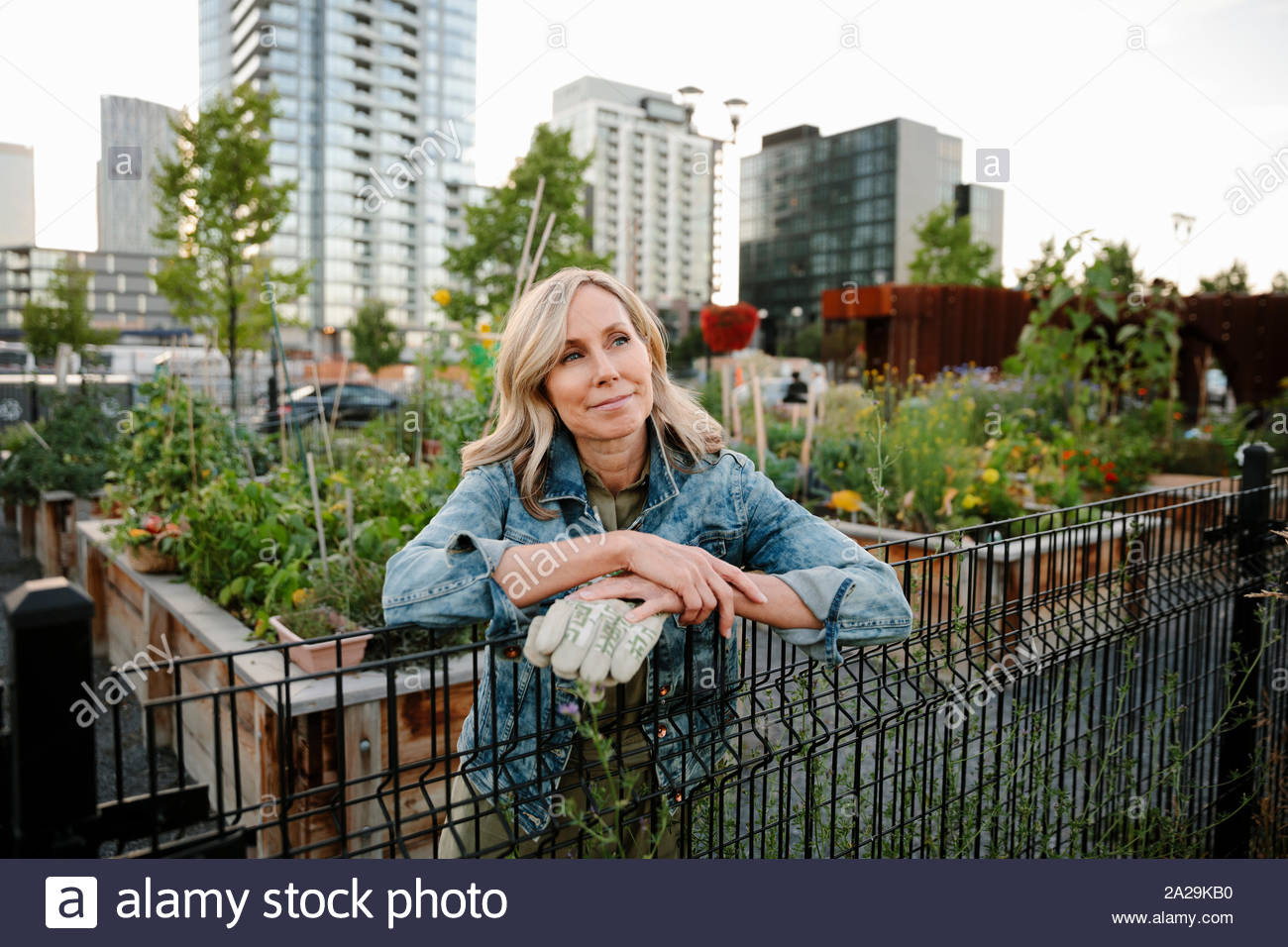 Garden gardening mature woman hi-res stock photography and images - Alamy