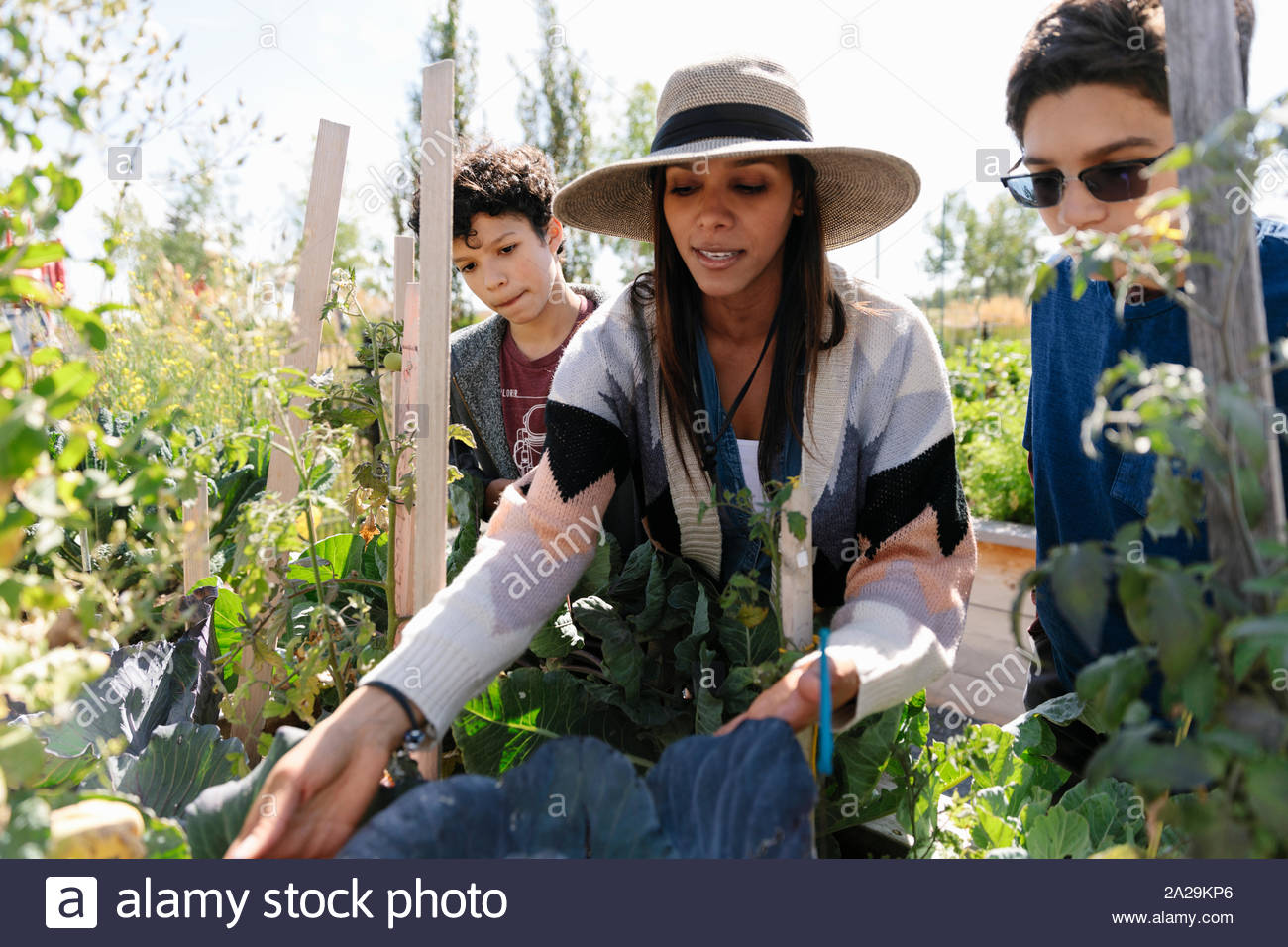 Hispanic mother and son gardening hi-res stock photography and images ...