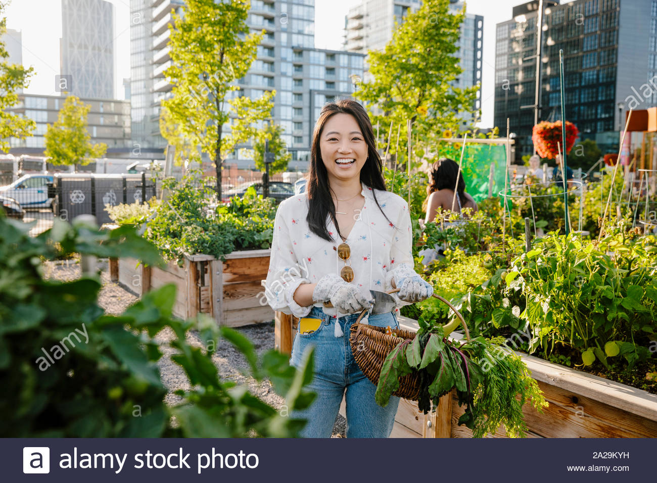 Portrait happy, carefree young woman harvesting fresh vegetables in urban community garden Stock Photo