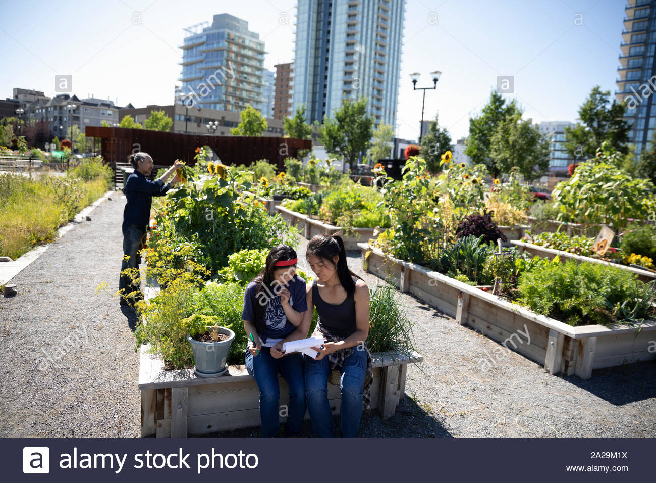 Sisters with notepad planning in sunny, urban community garden Stock Photo