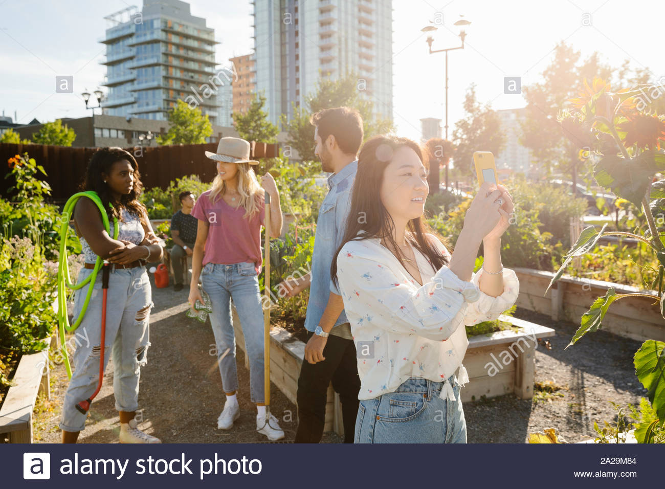 Young woman with camera phone in sunny, urban community garden Stock Photo