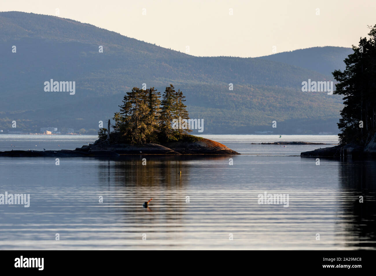 View of Mount Desert Island across Frenchman Bay, Downeast Maine Stock Photo Alamy