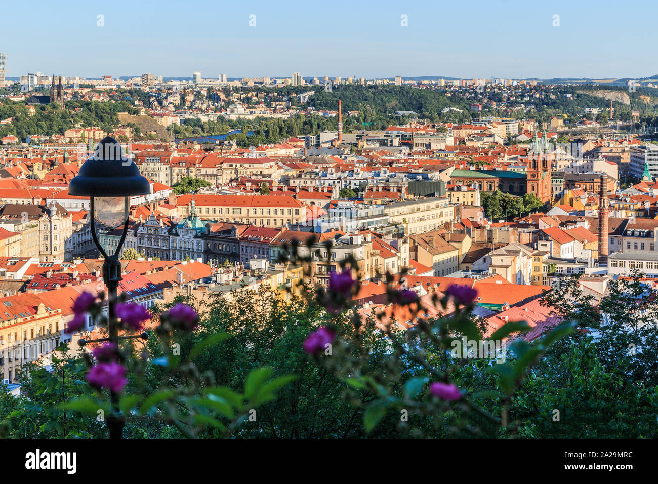 View with bushes and purple with street lamp in Petrin hill on historic building and river Vltava from district Mala Strana in Prague on a sunny day Stock Photo