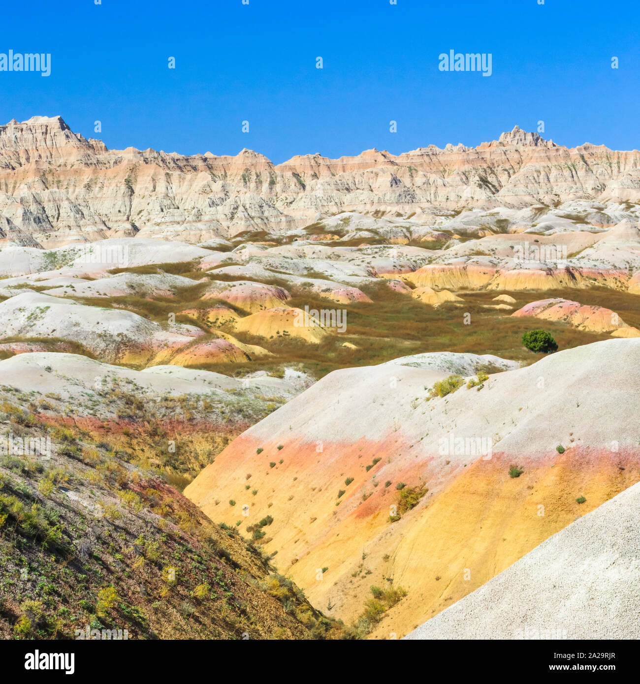 My Image 30