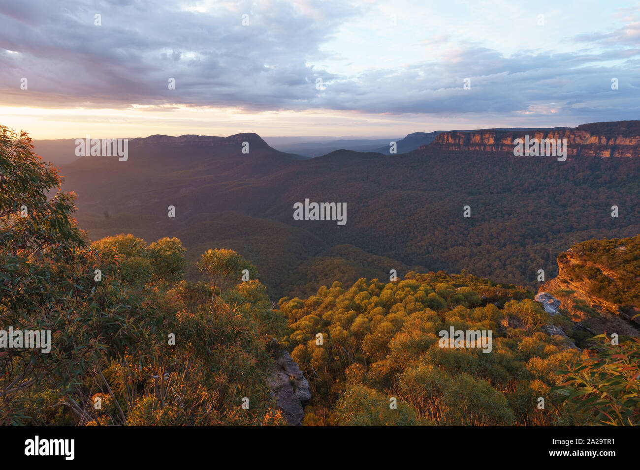 Kings Tableland in the Blue Mountains National Park, New South Wales, Australia Stock Photo