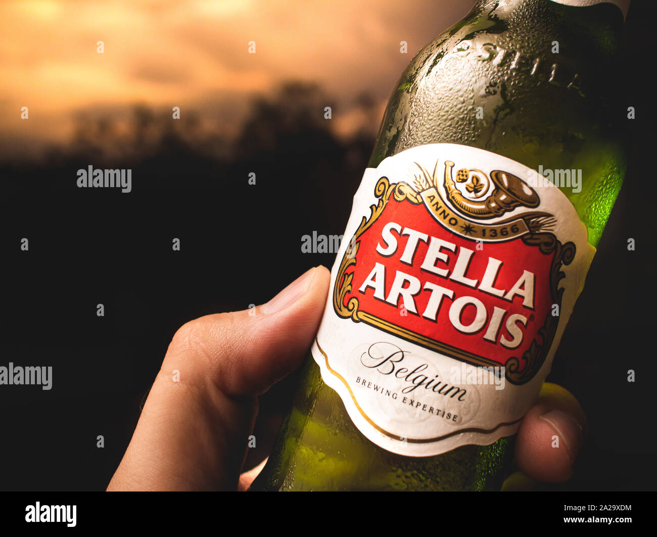 https://c8.alamy.com/comp/2A29XDM/photograph-of-a-man-holding-a-beer-bottle-from-belgian-company-stella-artois-2A29XDM.jpg