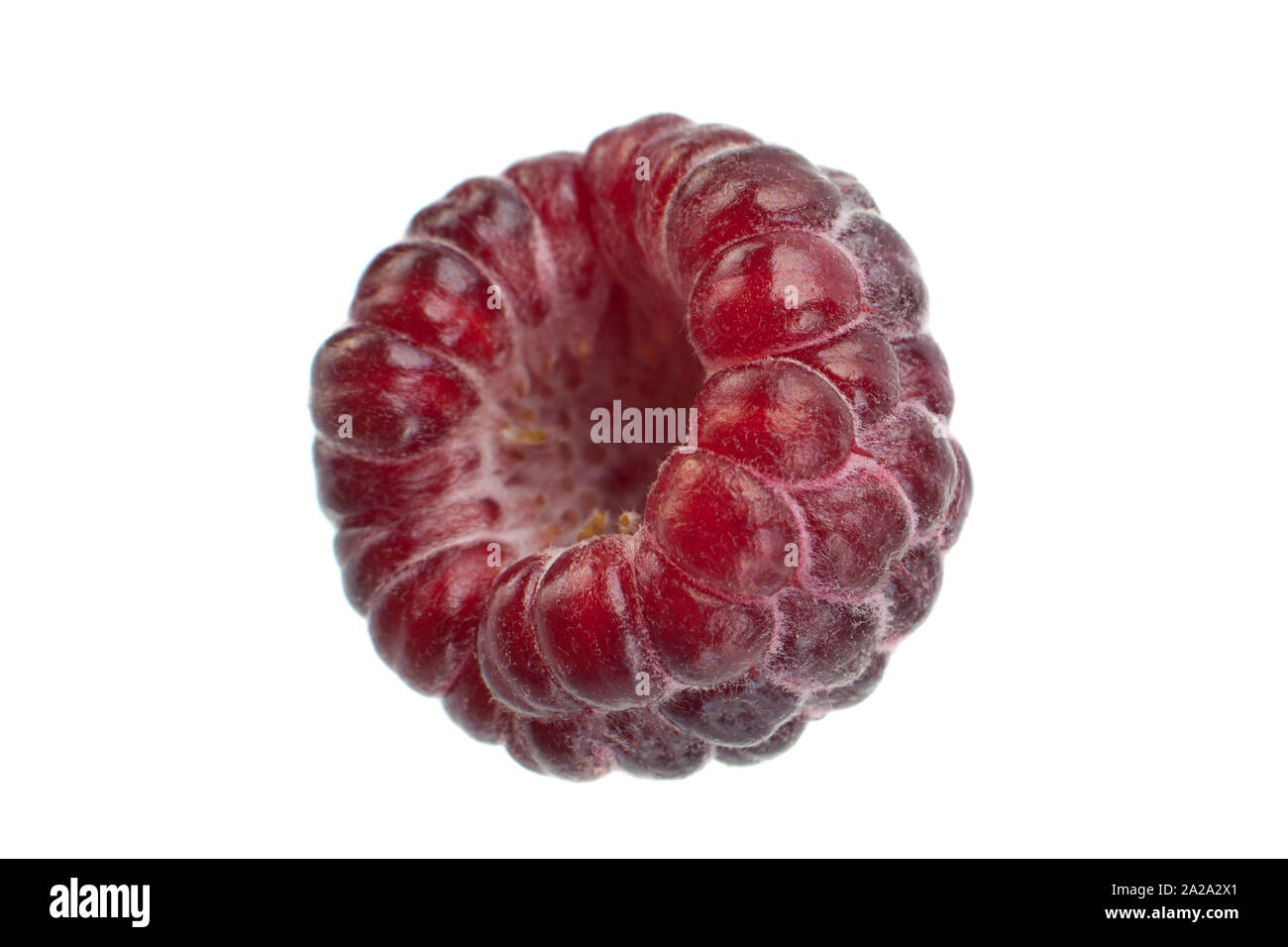 Cumberland fruit Hybrid raspberry and blackberry on white Stock Photo
