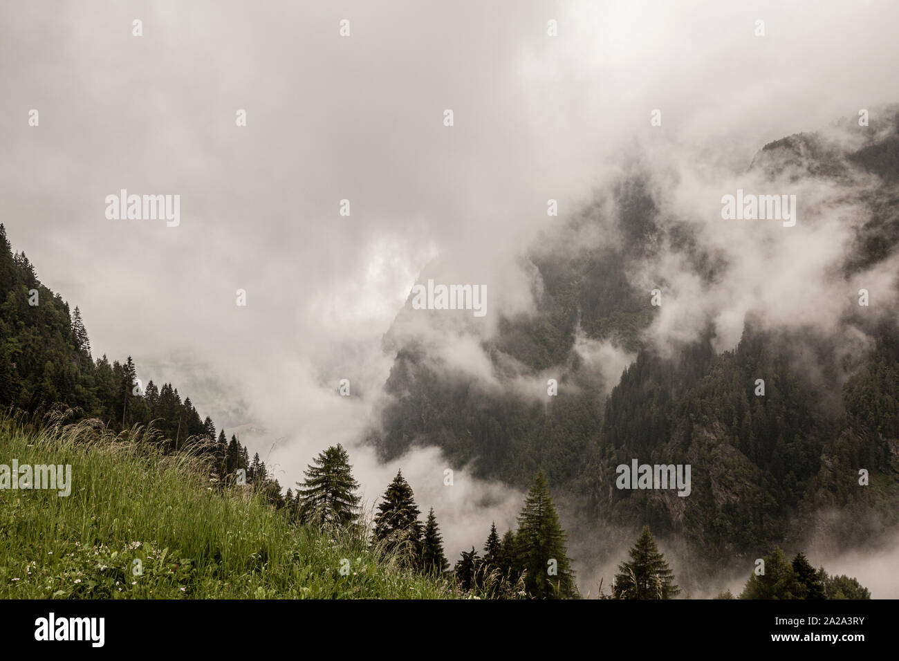 Thick clouds passing over the heavily forested mountainsides of the Alps in Austria Stock Photo