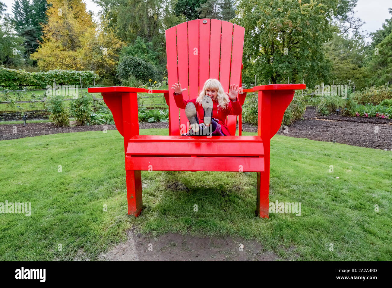 Woman on large red Adirondack chair, VanDusen Botanical Garden, Vancouver, British Columbia, Canada. Stock Photo