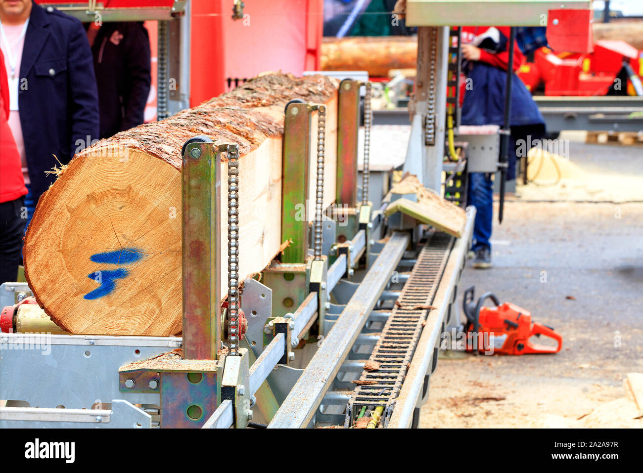 Woodworking, lumber, a large pine log is fixed on the flyover of a