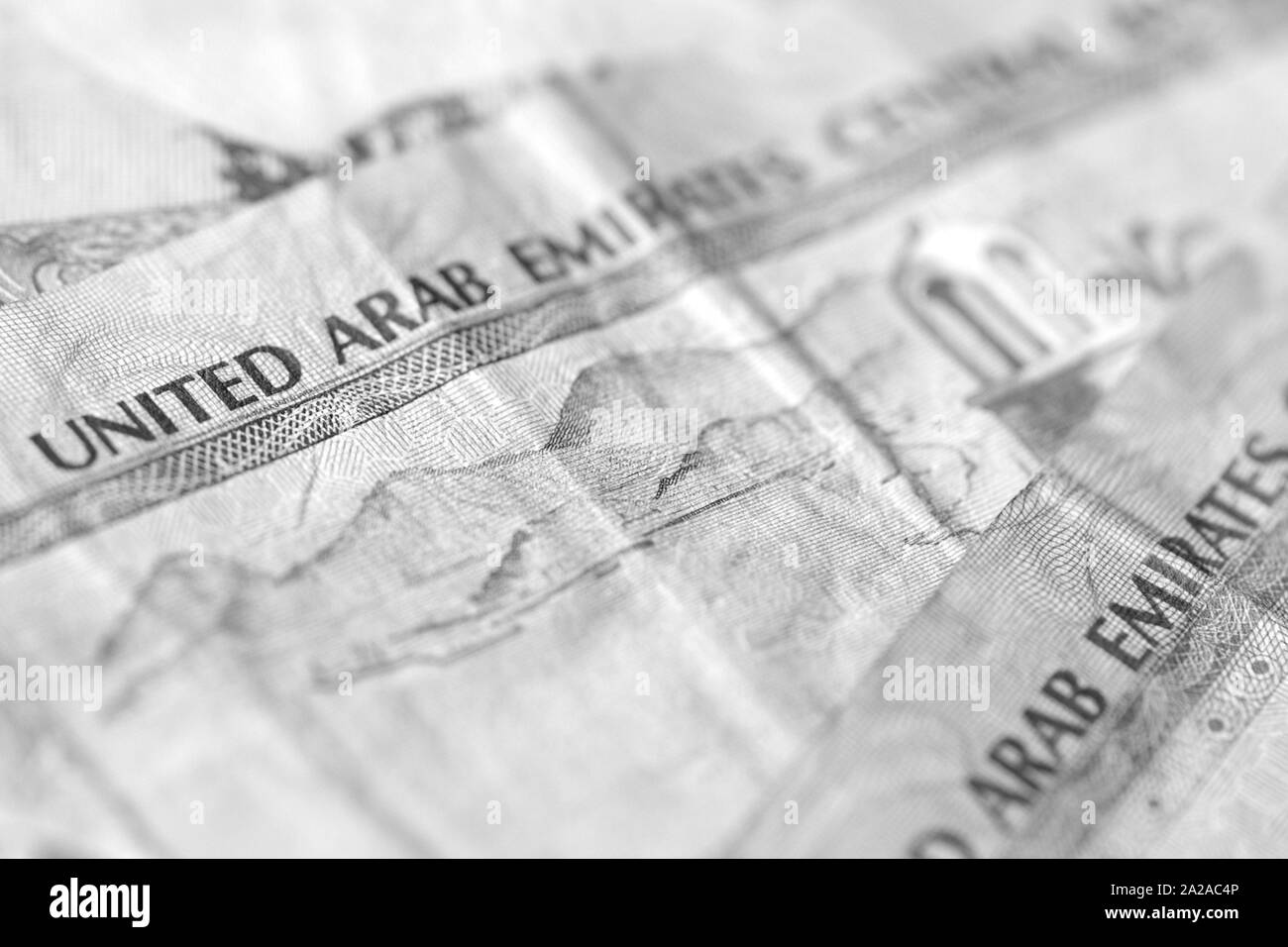 United Arab Emirates dirhams close up. Monochrome money background Stock Photo