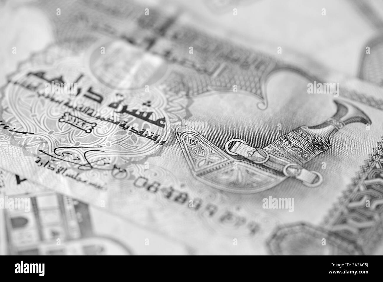 United Arab Emirates dirhams close up. Monochrome money background Stock Photo