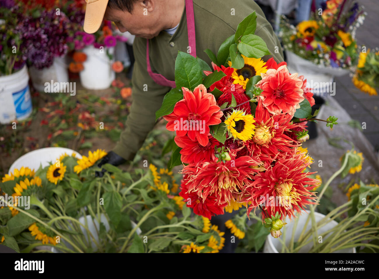 A farmer hand picks flowers to make a bouquet at the Saturday farmers market in Lake Oswego, Oregon, on Sep 14, 2019. Stock Photo