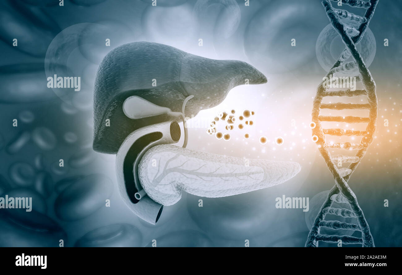 Human liver and dna on medical background. 3d illustration Stock Photo