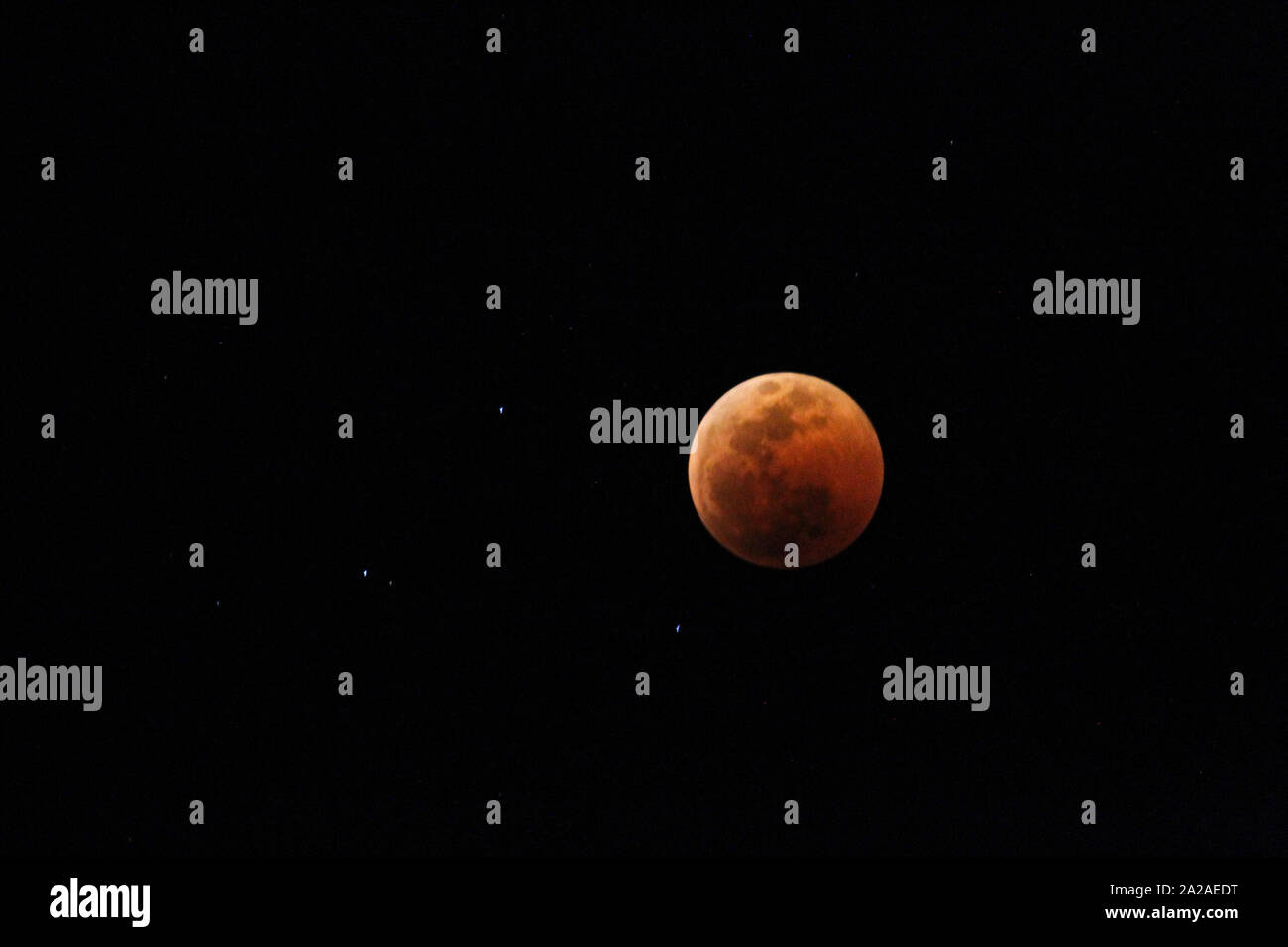Blood moon lunar eclipse against night sky, Moreleta Park, Pretoria