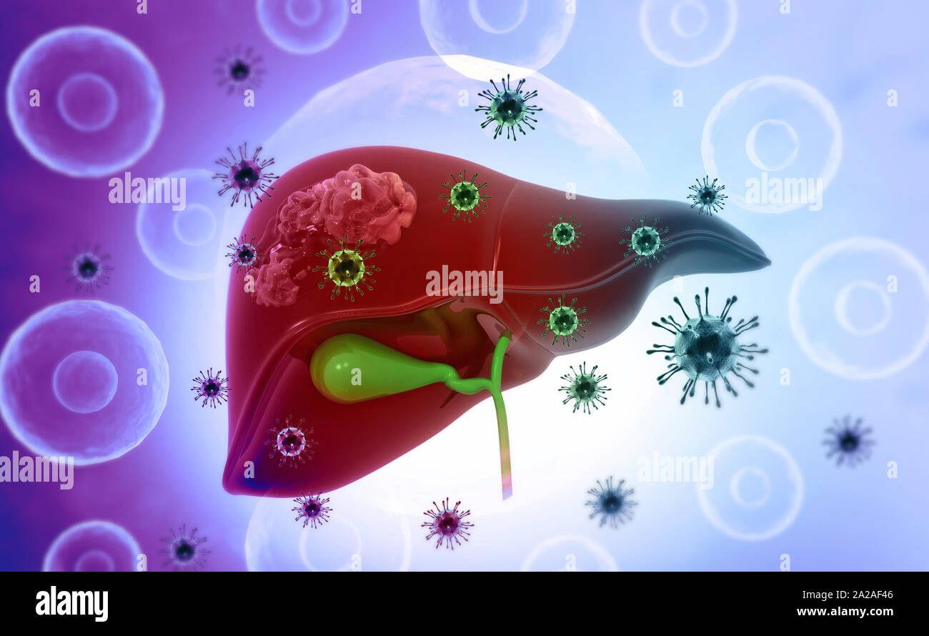 viral infection on human  liver. Medical background. 3d illustration Stock Photo