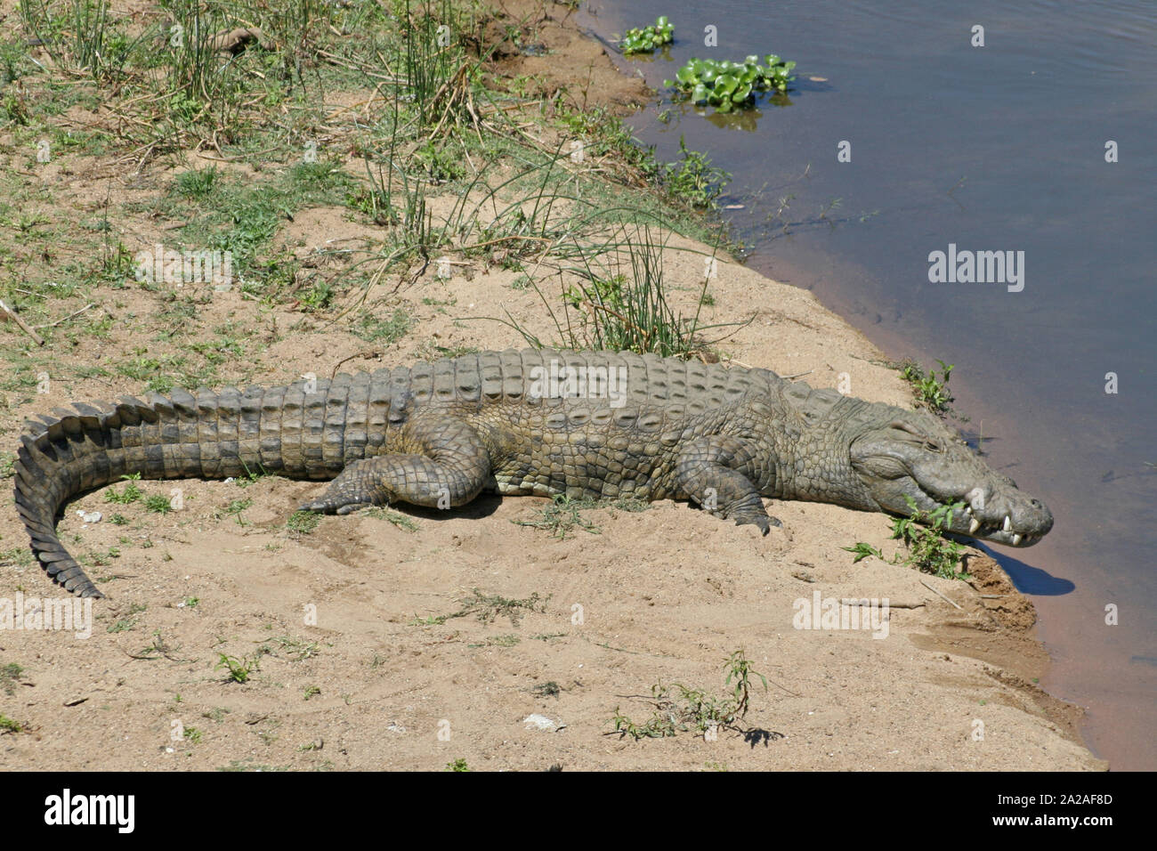 South african reserve bank hi-res stock photography and images - Alamy