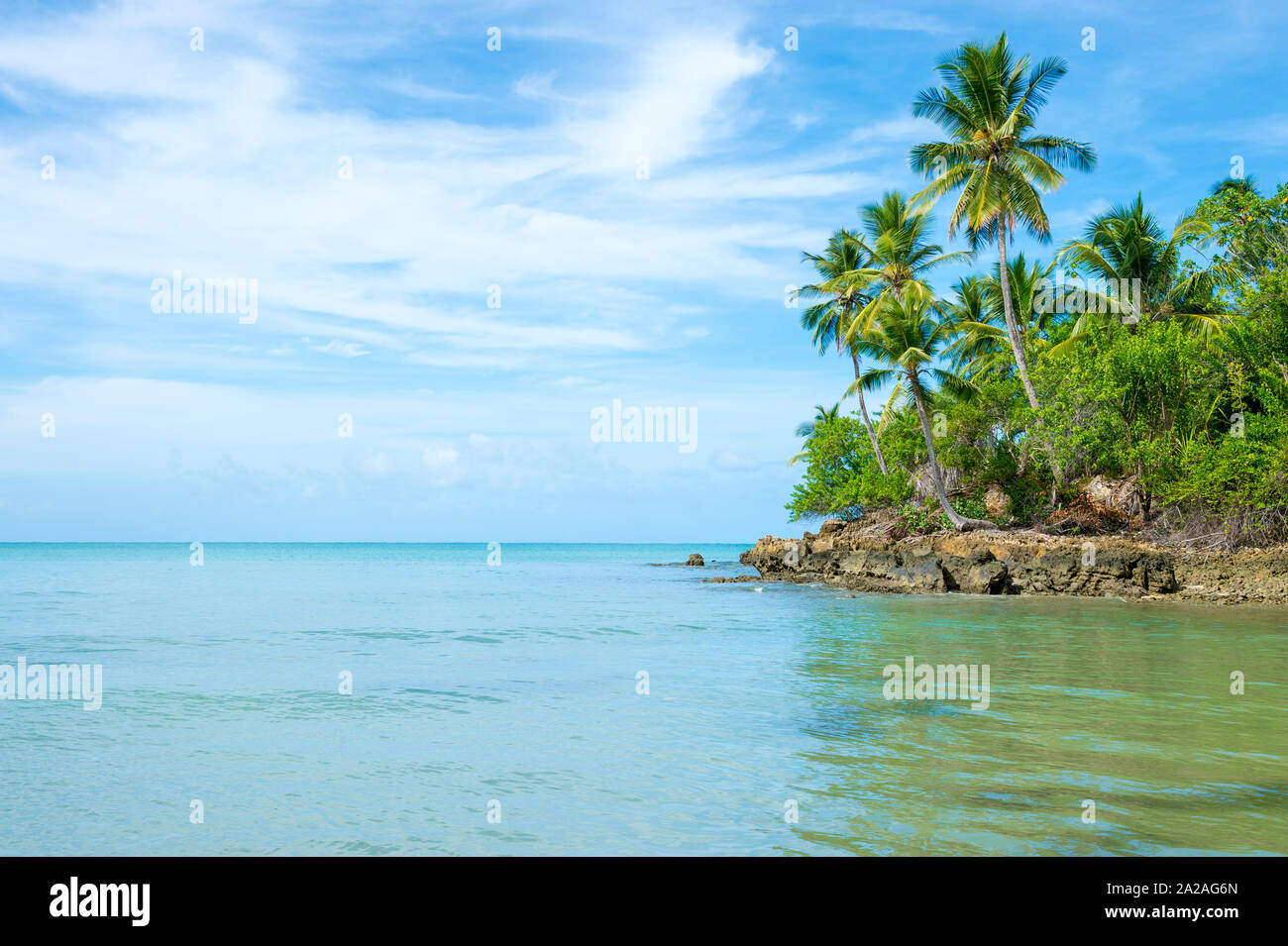 Rocky coastline palm trees hi-res stock photography and images - Alamy