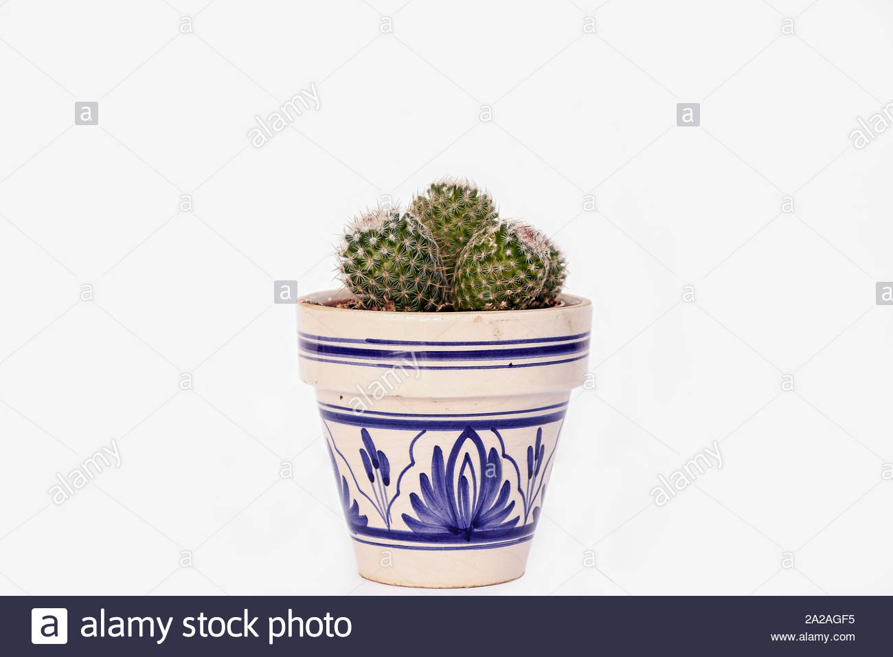 Small Sphere Cactus In Clay Pot Painted Andalusian Style On White